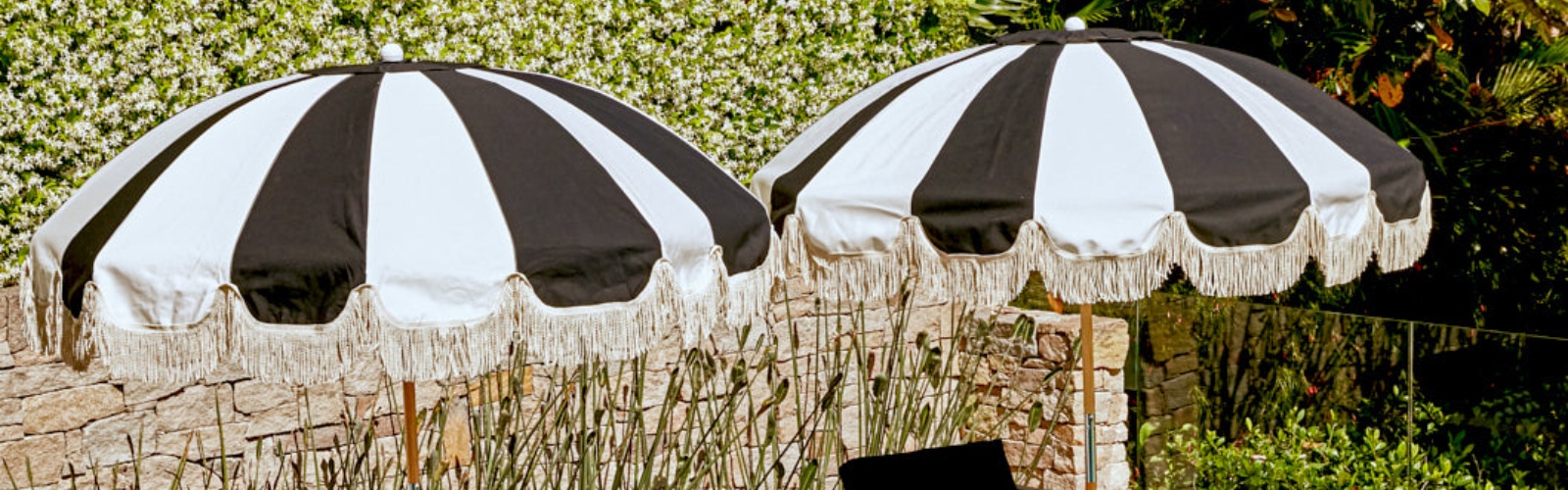 collection-banner-image